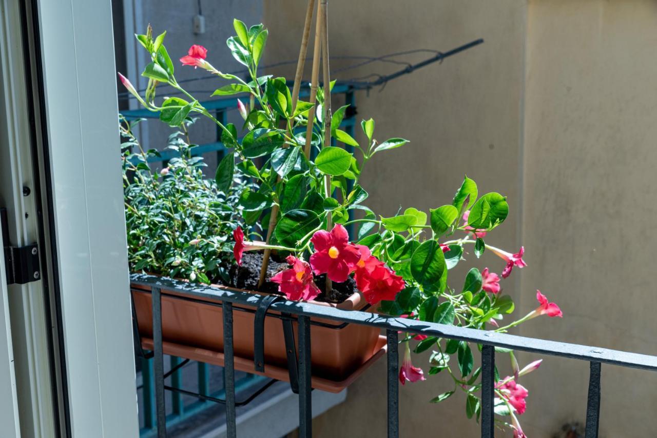 Caiazzo Mandevilla Home المظهر الخارجي الصورة